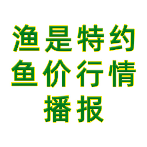 渔是特约鱼价行情播报