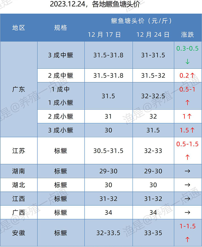 【渔是特约】2023年51周行情，鳜鱼：涨1.5元/斤！加州鲈：节假日推涨0.2元/斤