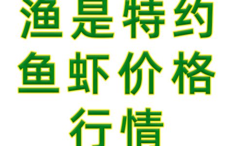 【渔是特约】2024.05.10，鳜鱼、生鱼、石斑鱼塘头价格