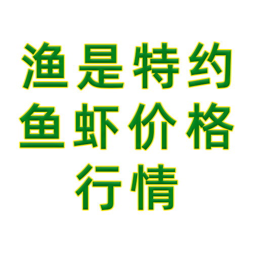 渔是特约鱼虾价格行情播报