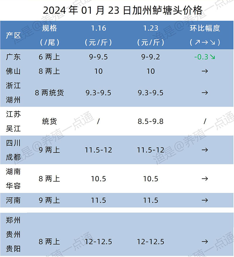 【渔是特约】2024.01.23，鳜鱼、黄颡、加州鲈、江团、生鱼塘头报价