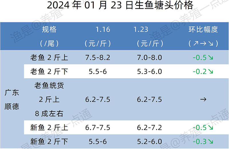 【渔是特约】2024.01.23，鳜鱼、黄颡、加州鲈、江团、生鱼塘头报价