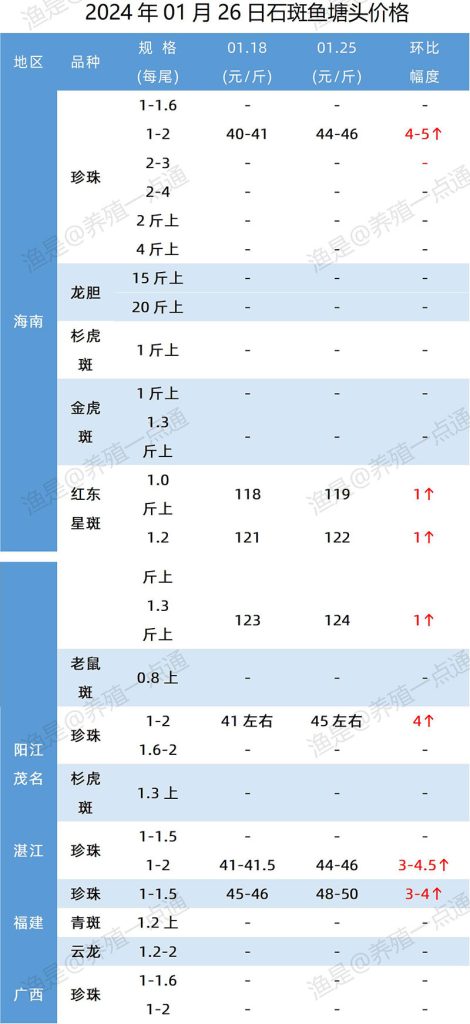 2024.01.26，石斑鱼塘头价格