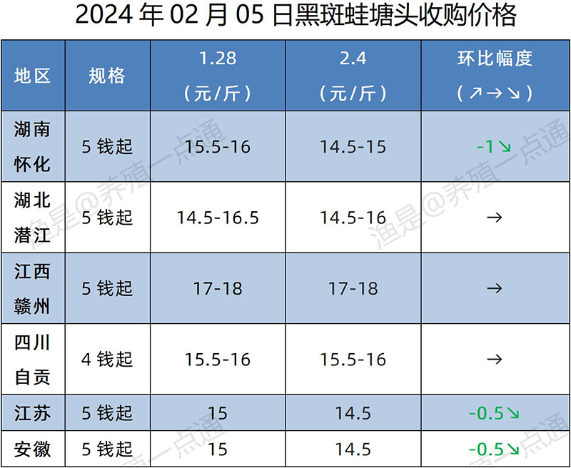 【渔是特约】2024年02月05日，牛蛙、泰蛙、黑斑蛙塘头收购价格