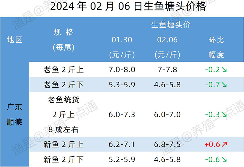 【渔是特约】2024.02.06，鳜鱼、加州鲈、生鱼、黄颡鱼、江团塘头价格