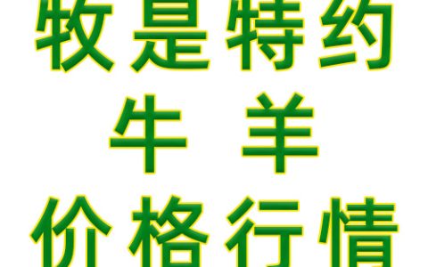 【牧是特约】2024.02.16，肉羊价格行情