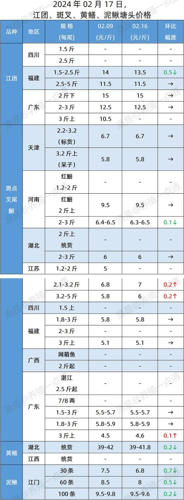 【渔是特约】2024.02.17，江团、斑叉、黄鳝、泥鳅塘头价格