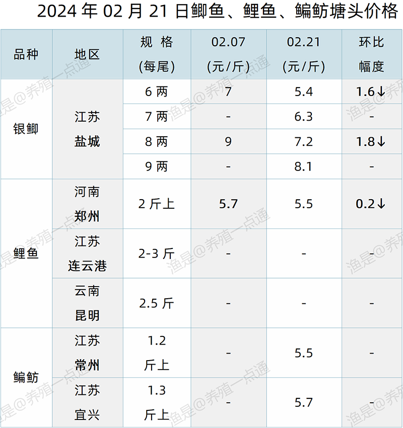 【渔是特约】2024.02.21，草鱼、青鱼、花白鲢、黄颡鱼塘头价格