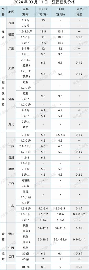【渔是特约】2024.03.11，江团、黄鳝、泥鳅、石斑鱼塘头价格