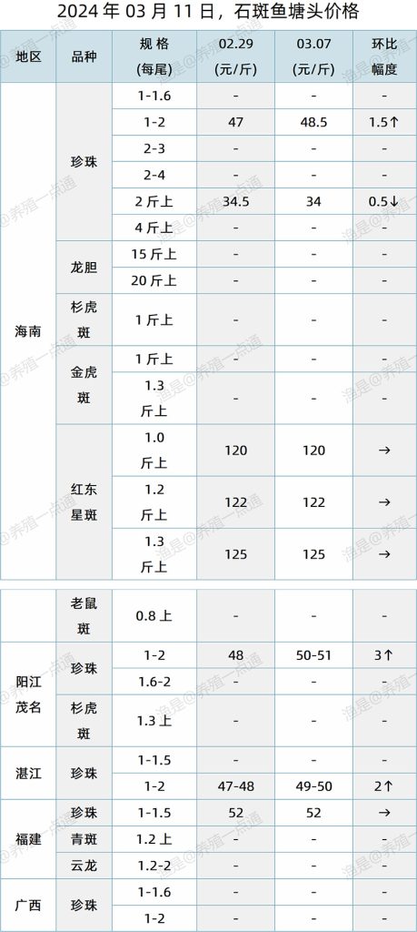 【渔是特约】2024.03.11，江团、黄鳝、泥鳅、石斑鱼塘头价格