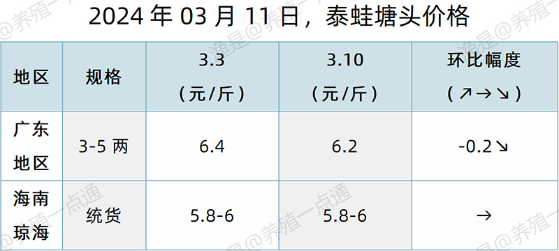 【渔是特约】2024.03.11，对虾、牛蛙、泰蛙、黑斑蛙，塘头价格