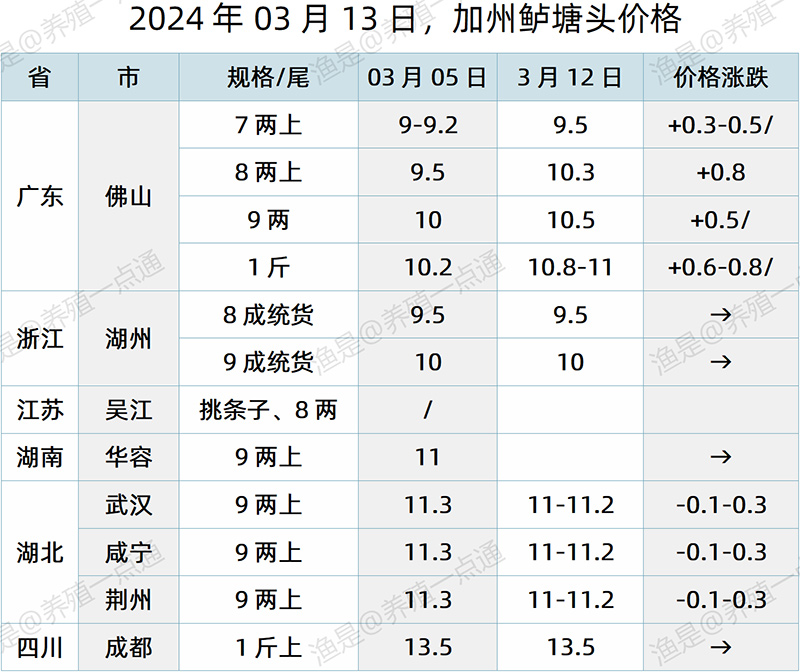 【渔是特约】2024.03.13，草鱼、生鱼、加州鲈塘头价格