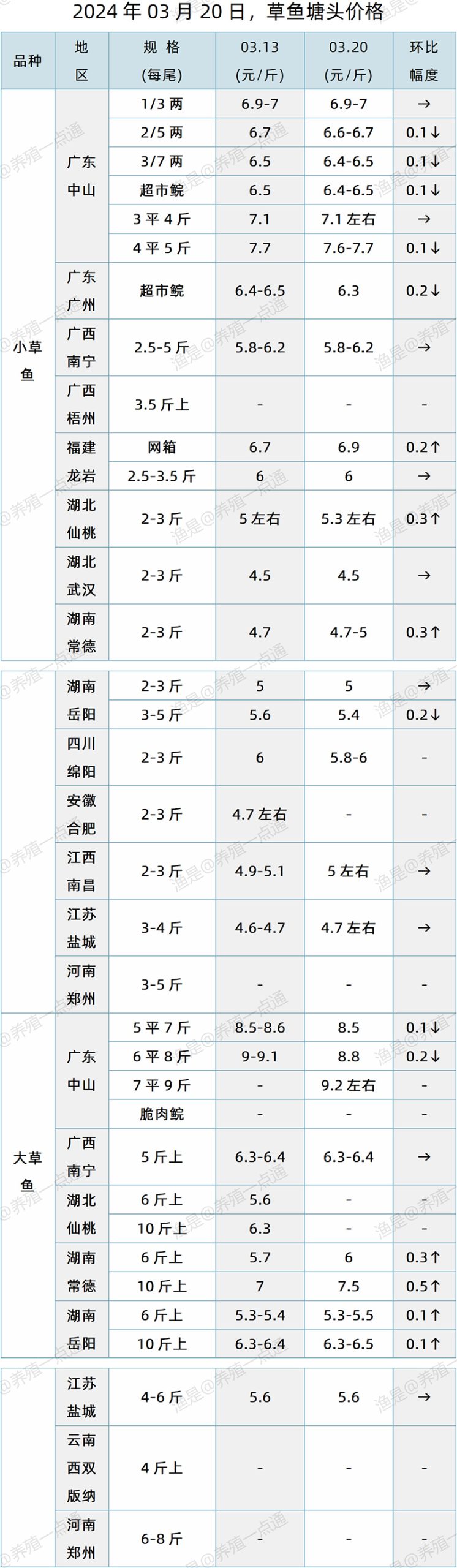 【渔是特约】2024.03.20，草鱼塘头价格