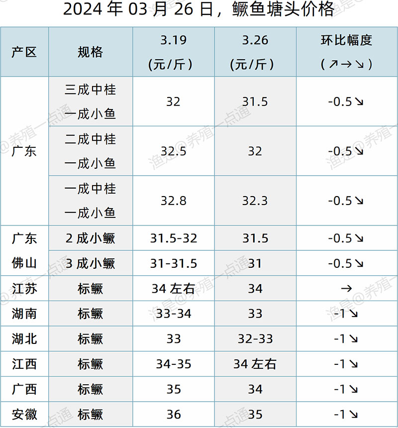 【渔是特约】2024.03.26，鳜鱼、黄颡鱼、加州鲈、生鱼、江团塘头价格