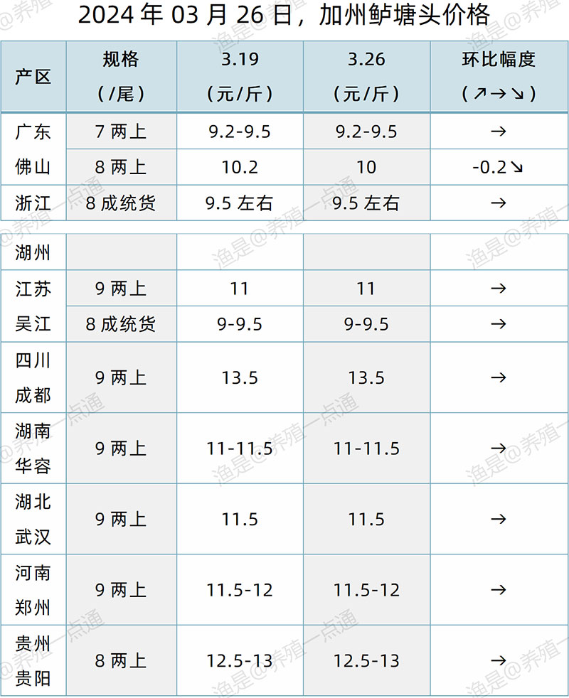 【渔是特约】2024.03.26，鳜鱼、黄颡鱼、加州鲈、生鱼、江团塘头价格