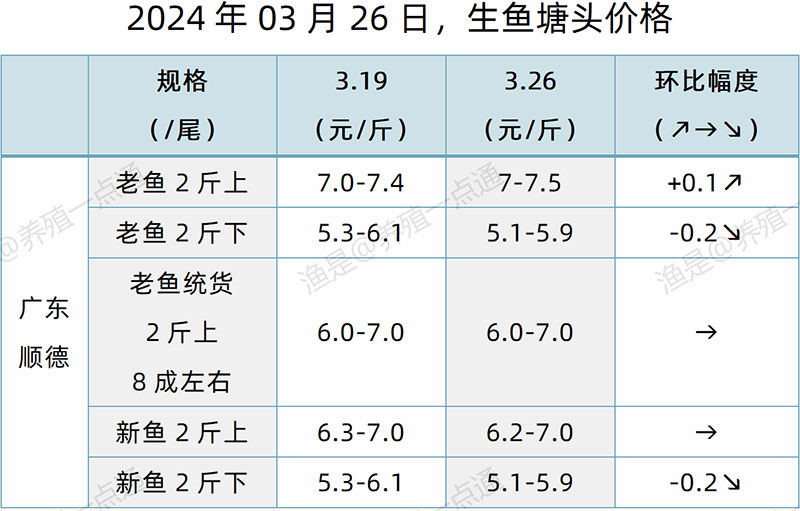 【渔是特约】2024.03.26，鳜鱼、黄颡鱼、加州鲈、生鱼、江团塘头价格