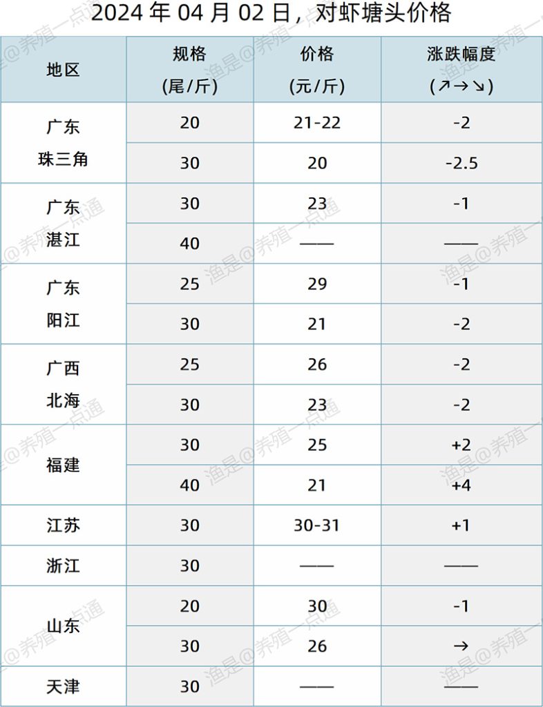 【渔是特约】2024.04.02，对虾、罗氏沼虾、斑节对塘头价格