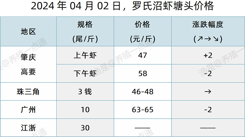 【渔是特约】2024.04.02，对虾、罗氏沼虾、斑节对塘头价格