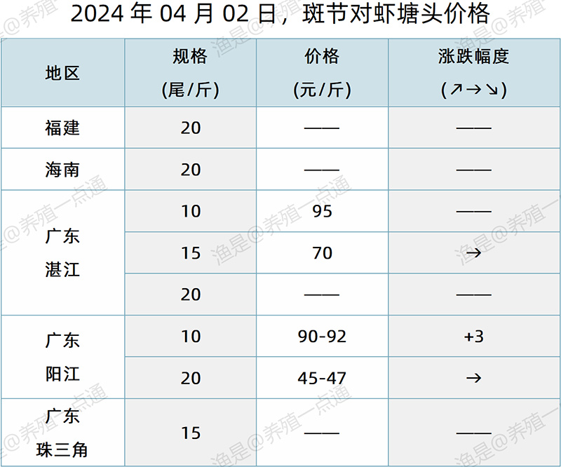 【渔是特约】2024.04.02，对虾、罗氏沼虾、斑节对塘头价格