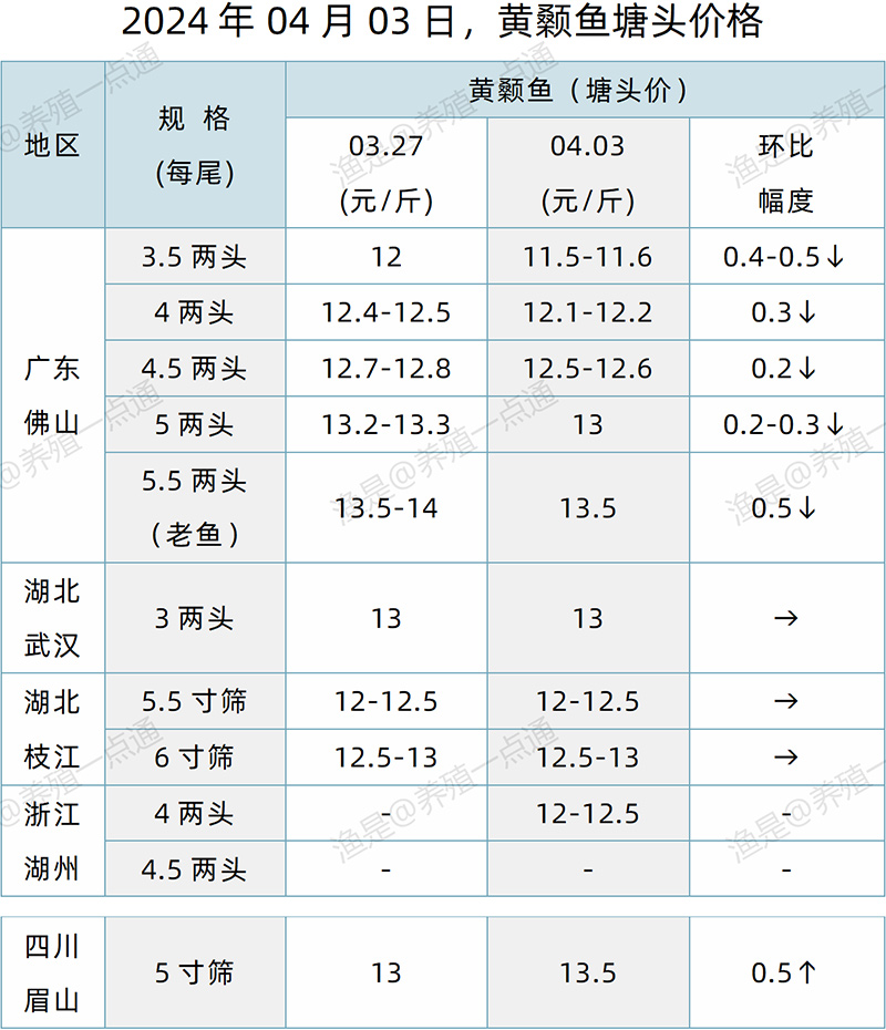 【渔是特约】2024.04.03，草鱼，花白鲢，黄颡鱼塘头价格