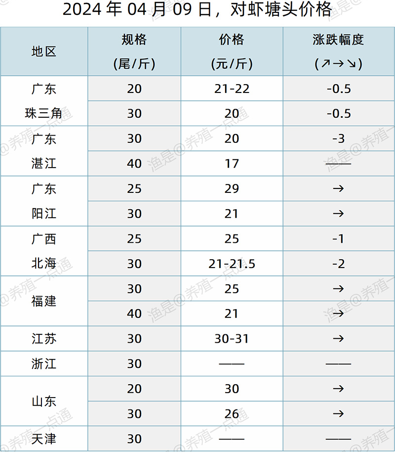 【渔是特约】2024.04.09，对虾、罗氏沼虾、斑节对虾、日本对虾塘头价格