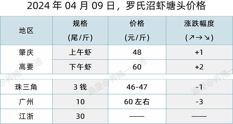 【渔是特约】2024.04.09，对虾、罗氏沼虾、斑节对虾、日本对虾塘头价格