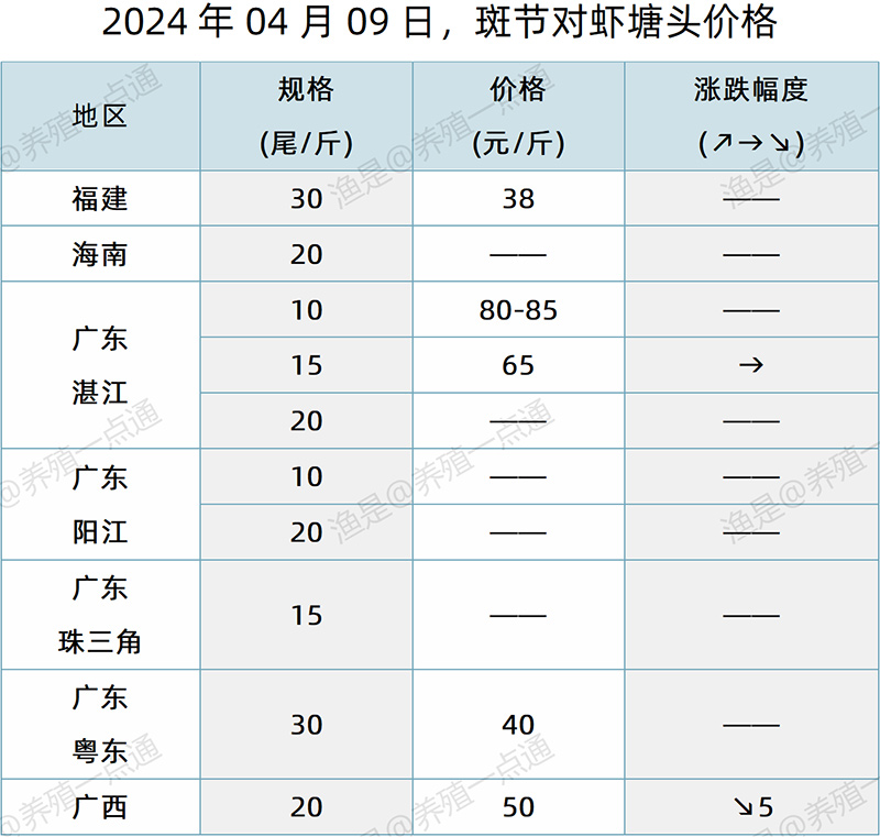 【渔是特约】2024.04.09，对虾、罗氏沼虾、斑节对虾、日本对虾塘头价格