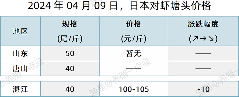 【渔是特约】2024.04.09，对虾、罗氏沼虾、斑节对虾、日本对虾塘头价格