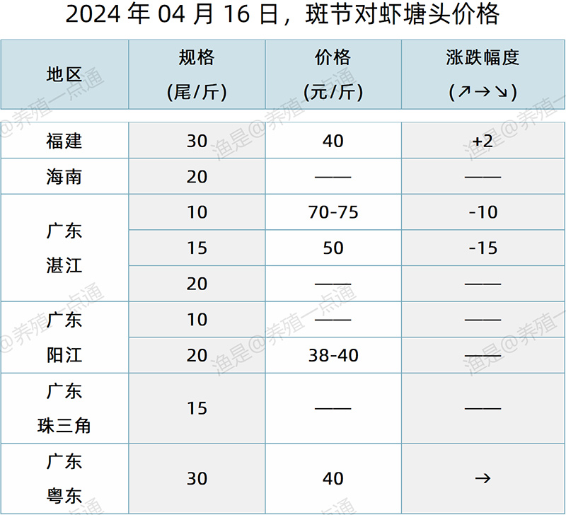 【渔是特约】2024.04.16，对虾、斑节对虾、日本对虾塘头价格