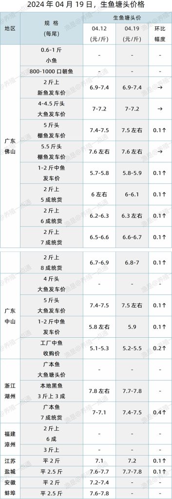 【渔是特约】2024.04.19，鳜鱼、生鱼、石斑鱼塘头价格