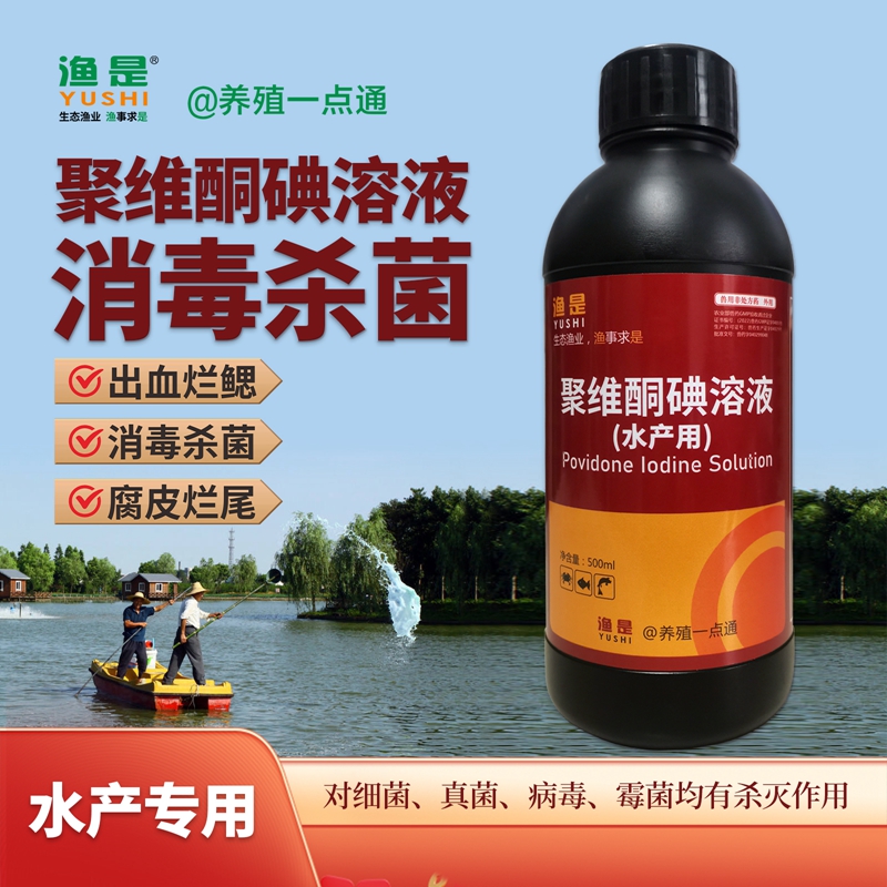 渔是聚维酮碘