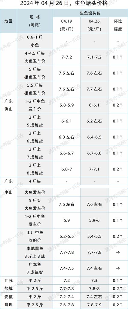 【渔是特约】2024.04.26，生鱼、石斑鱼塘头价格