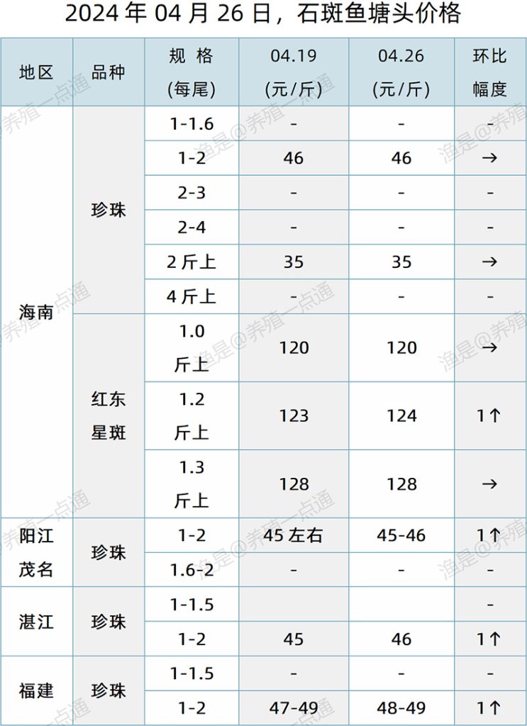 【渔是特约】2024.04.26，生鱼、石斑鱼塘头价格