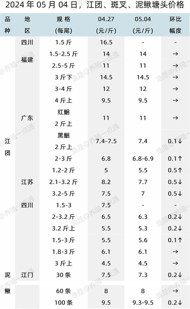 【渔是特约】2024.05.04，江团、斑点叉尾鮰、泥鳅、罗非鱼塘头价格