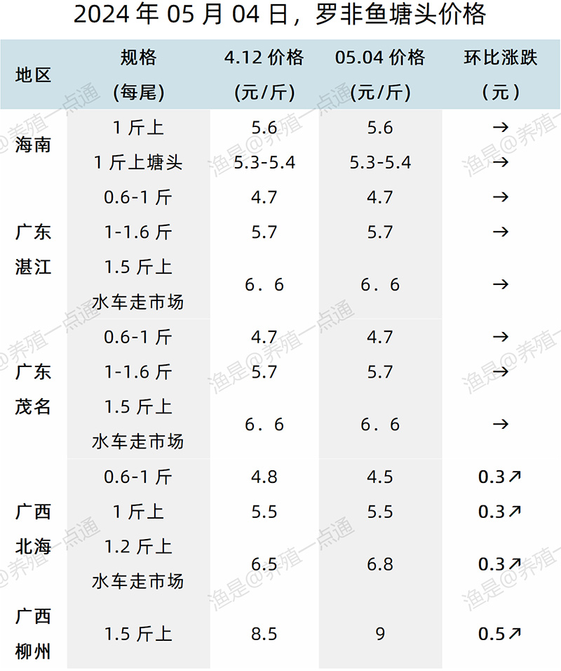 【渔是特约】2024.05.04，江团、斑点叉尾鮰、泥鳅、罗非鱼塘头价格