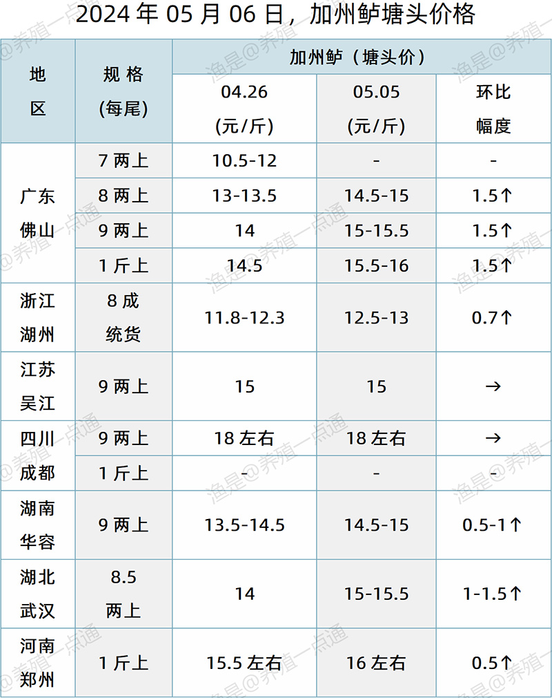 【渔是特约】2024.05.06，加州鲈、鳜鱼、生鱼、石斑鱼、罗非鱼、黄颡鱼、斑点叉尾鮰塘头价格