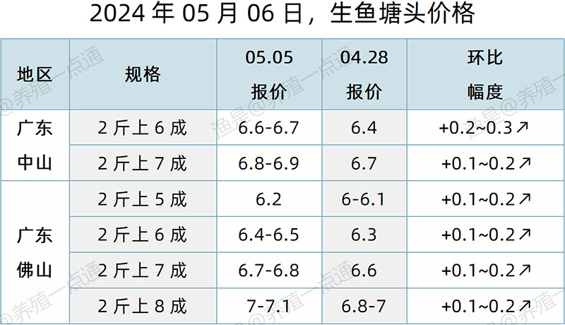 【渔是特约】2024.05.06，加州鲈、鳜鱼、生鱼、石斑鱼、罗非鱼、黄颡鱼、斑点叉尾鮰塘头价格