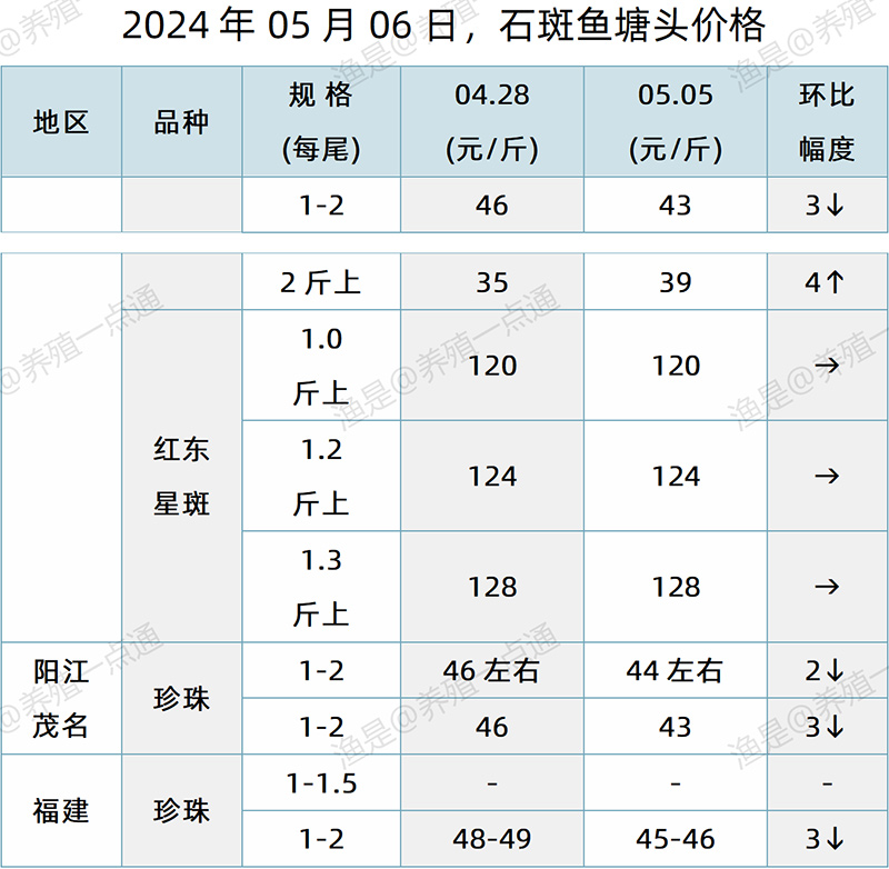 【渔是特约】2024.05.06，加州鲈、鳜鱼、生鱼、石斑鱼、罗非鱼、黄颡鱼、斑点叉尾鮰塘头价格