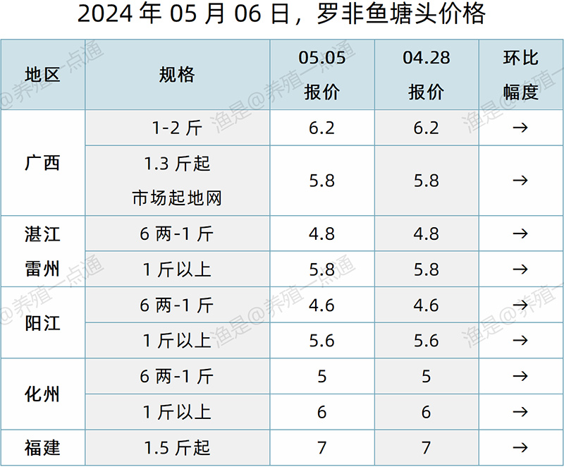 【渔是特约】2024.05.06，加州鲈、鳜鱼、生鱼、石斑鱼、罗非鱼、黄颡鱼、斑点叉尾鮰塘头价格