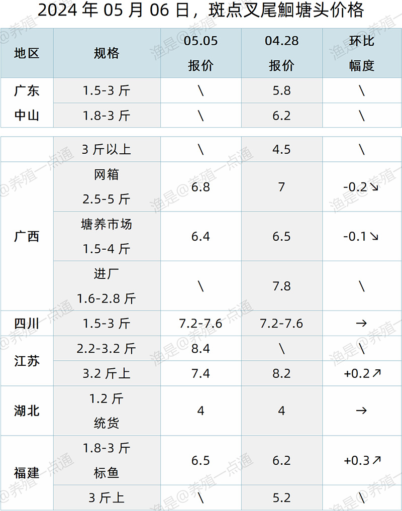 【渔是特约】2024.05.06，加州鲈、鳜鱼、生鱼、石斑鱼、罗非鱼、黄颡鱼、斑点叉尾鮰塘头价格