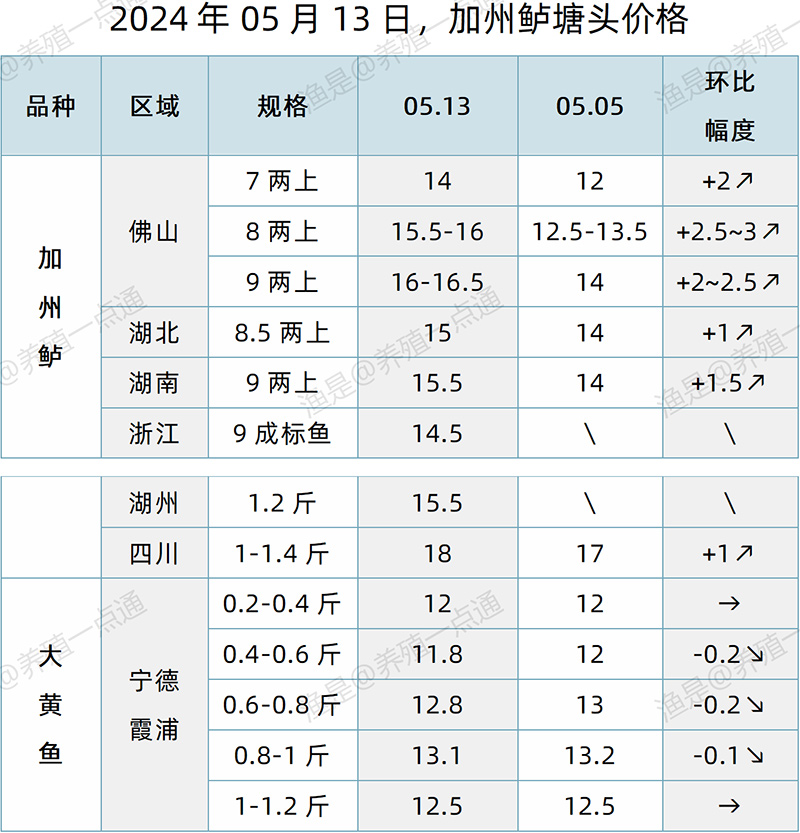 【渔是特约】2024.05.13，草鱼、罗非鱼、生鱼、加州鲈、黄颡鱼、石斑鱼、斑点叉尾鮰、牛蛙、泰蛙、黑斑蛙塘头价格