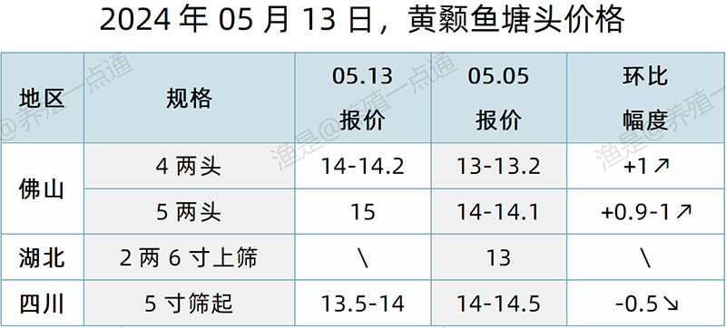 【渔是特约】2024.05.13，草鱼、罗非鱼、生鱼、加州鲈、黄颡鱼、石斑鱼、斑点叉尾鮰、牛蛙、泰蛙、黑斑蛙塘头价格