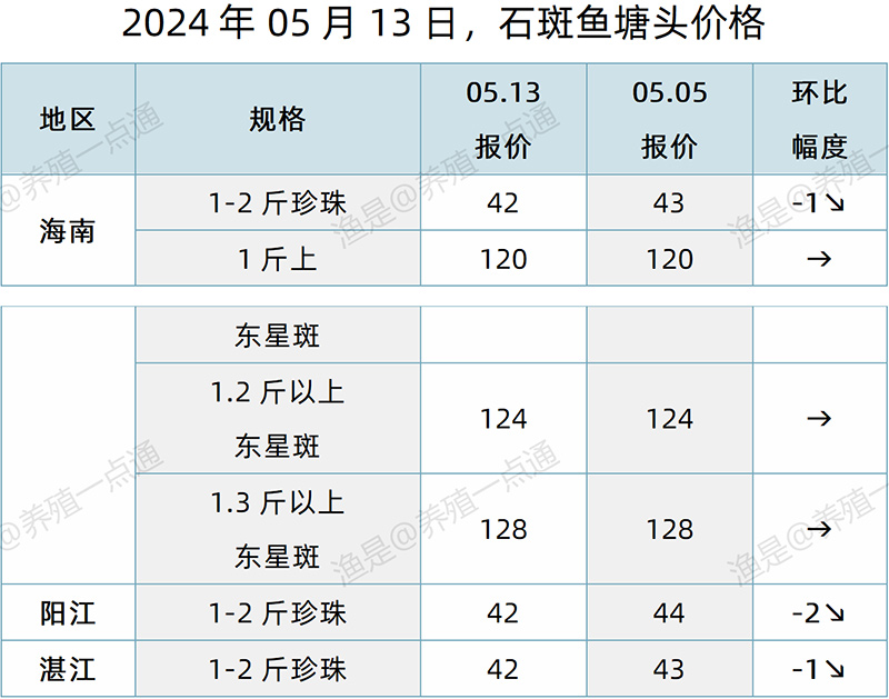 【渔是特约】2024.05.13，草鱼、罗非鱼、生鱼、加州鲈、黄颡鱼、石斑鱼、斑点叉尾鮰、牛蛙、泰蛙、黑斑蛙塘头价格
