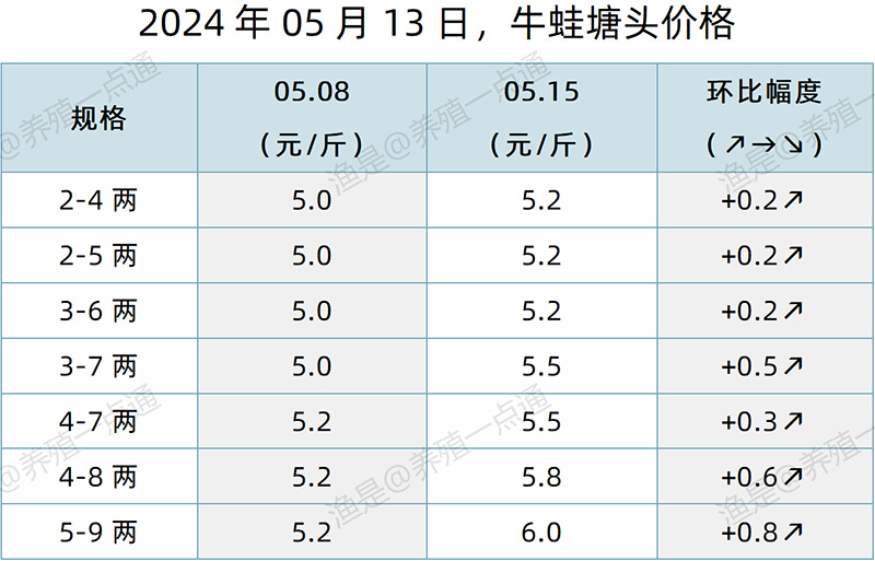 【渔是特约】2024.05.13，草鱼、罗非鱼、生鱼、加州鲈、黄颡鱼、石斑鱼、斑点叉尾鮰、牛蛙、泰蛙、黑斑蛙塘头价格