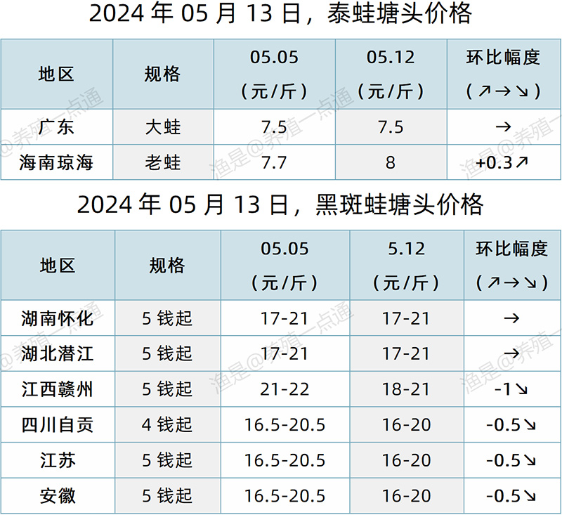 【渔是特约】2024.05.13，草鱼、罗非鱼、生鱼、加州鲈、黄颡鱼、石斑鱼、斑点叉尾鮰、牛蛙、泰蛙、黑斑蛙塘头价格