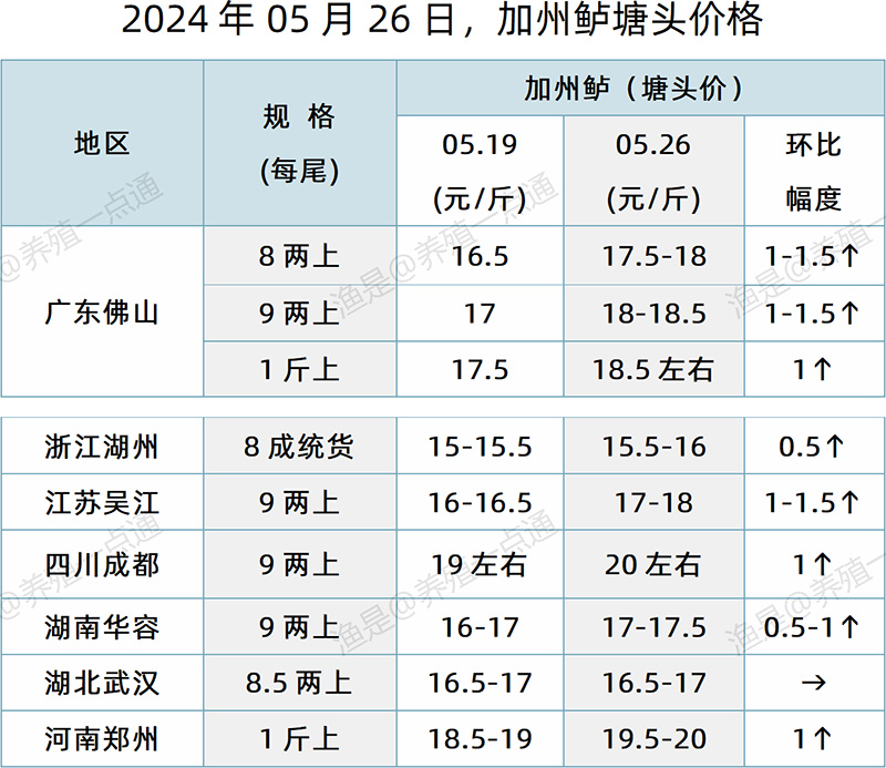 【渔是特约】2024.05.26，鳜鱼、加州鲈、石斑鱼塘头价格