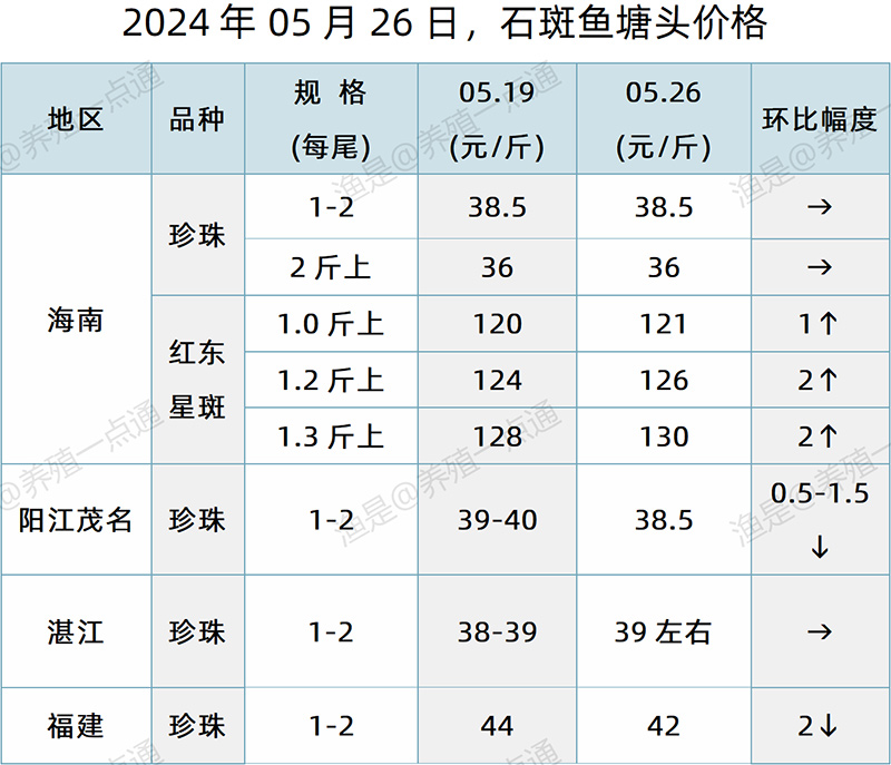 【渔是特约】2024.05.26，鳜鱼、加州鲈、石斑鱼塘头价格