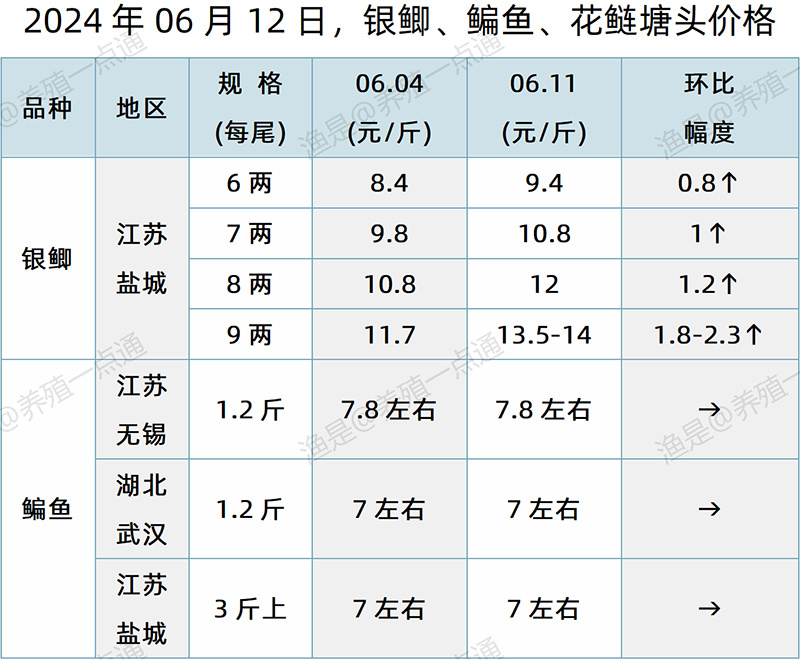 【渔是特约】2024.06.12，草鱼、银鲫、鳊鱼塘头价格