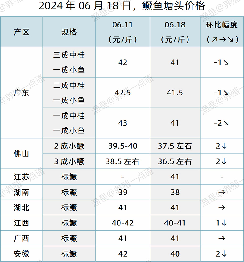 【渔是特约】2024.06.18，鳜鱼、加州鲈、生鱼、黄颡鱼塘头价格