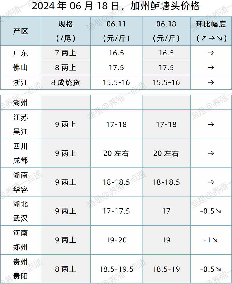【渔是特约】2024.06.18，鳜鱼、加州鲈、生鱼、黄颡鱼塘头价格
